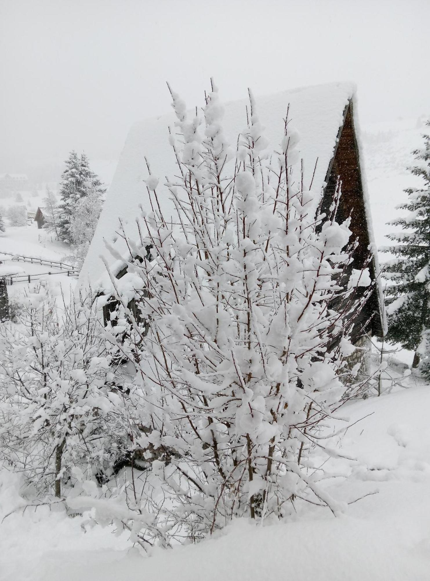 Holiday Home Zabljak Zewnętrze zdjęcie