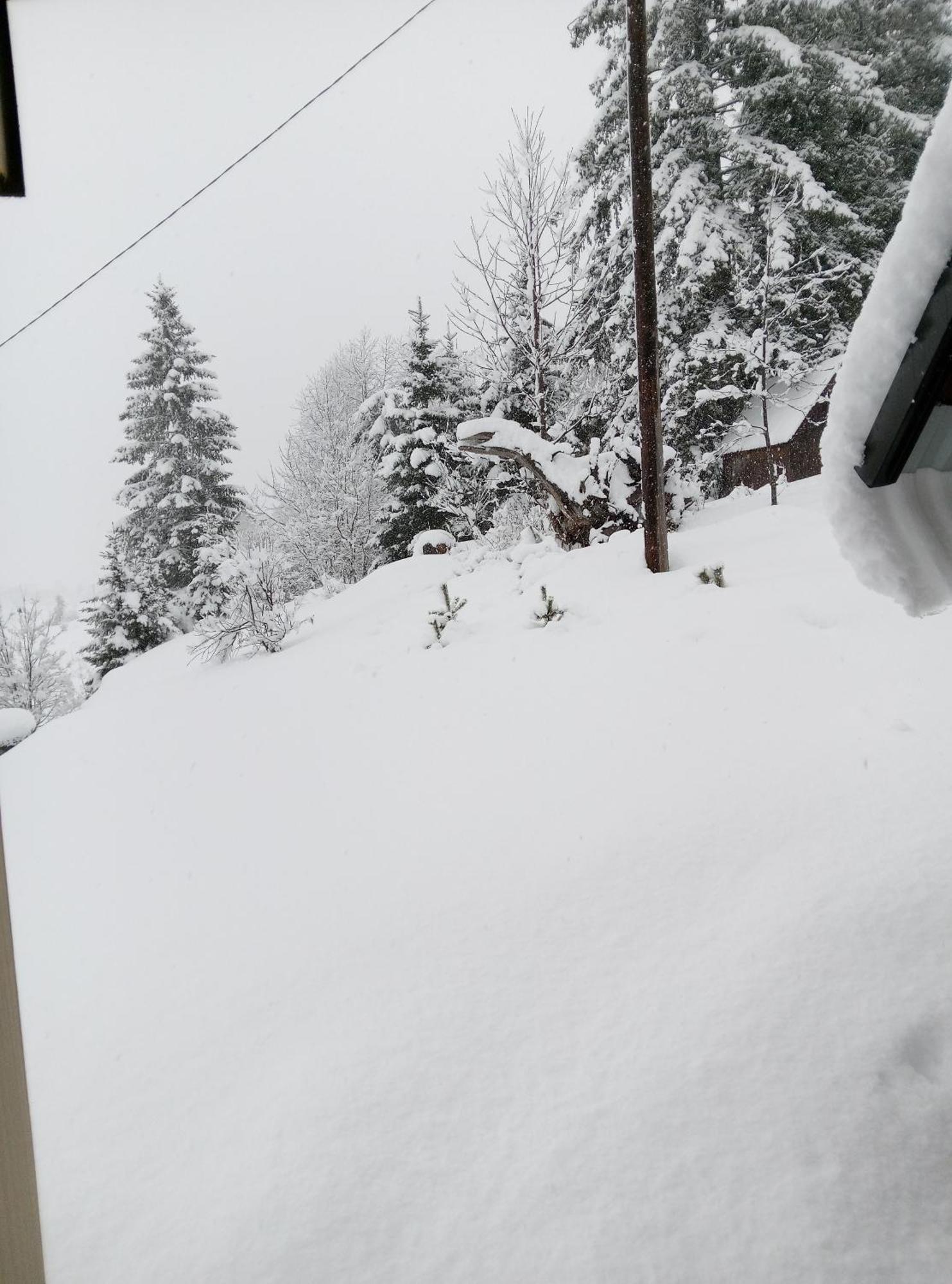 Holiday Home Zabljak Zewnętrze zdjęcie
