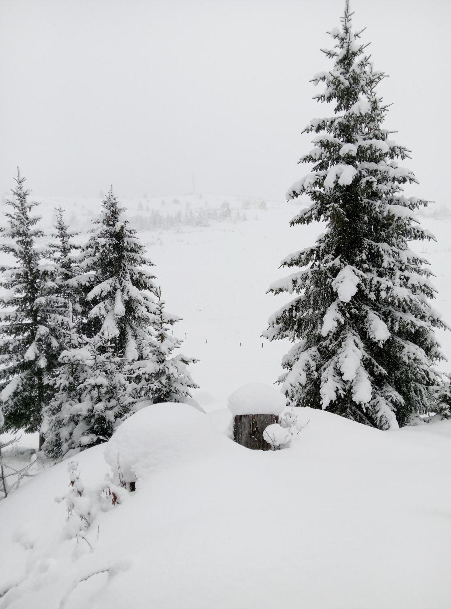 Holiday Home Zabljak Zewnętrze zdjęcie